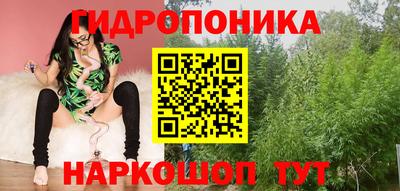 стафф Новокубанск