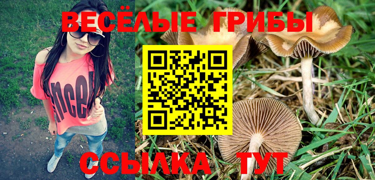 Галлюциногенные грибы мицелий Шатура