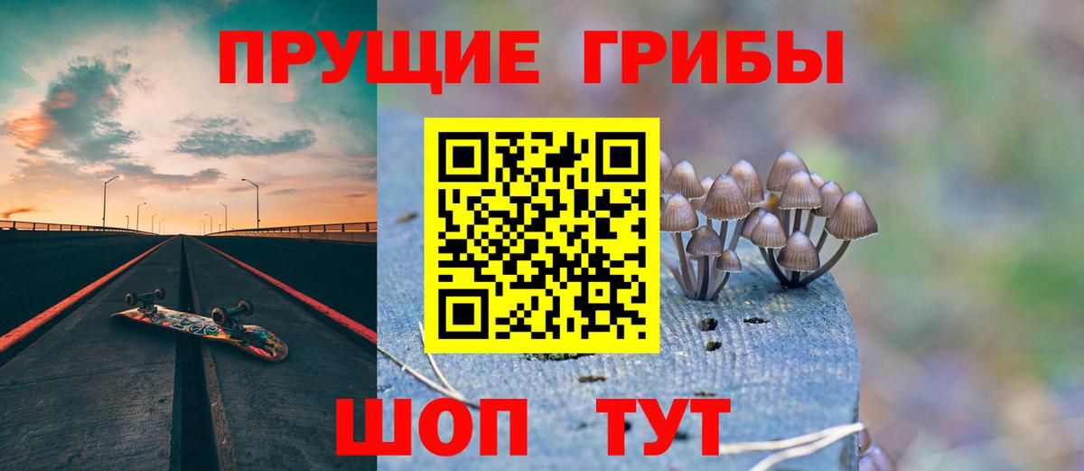 Галлюциногенные грибы прущие грибы  Вход с VPN  Шатура  Псилоцибиновые грибы GOLDEN TEACHER 